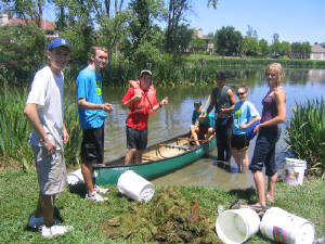 algaecleanup026.jpg